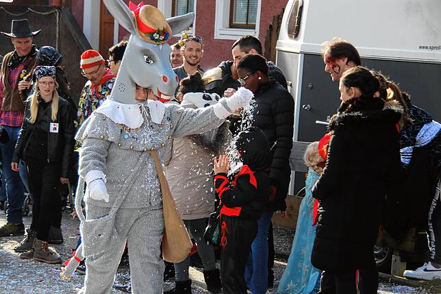 Tausende Narren und Fasnachtsfreunde feierten ausgelassen beim Narrentreffen in Schwerzen. Höhepunkt war der große Fasnachtsumzug am ...