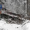 Das Kreisforstamt warnt, die Wälder im Kreis Waldshut zu betreten. Wie auf diesem Bild sichtbar, drohen Bäume wegen der enormen Last des ...