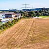Als wertvoller Lebensraum ist die mehr als 15 Jahre alte Hecke am östlichen Rand des künftigen Grafenhausener Gewerbegebietes ...