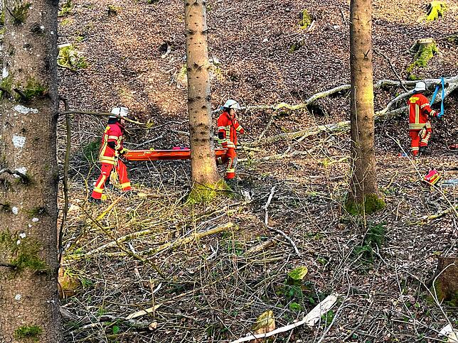 Ein 58-jähriger Waldarbeiter hat sich bei Baumfällarbeiten am Mittwochabend verletzt.