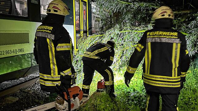 Die Feuerwehr an den Bahnschienen im Einsatz.