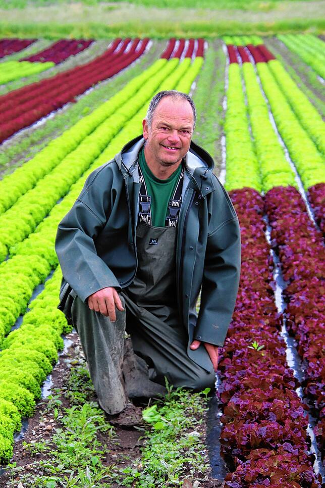 Reihenweise Salat: Joachim Wehrle auf seinem Feld.