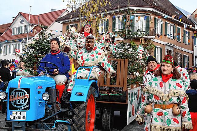 Nach 70 Jahren zum ersten Mal motorisiert: Die Markdorfer Kaujohle haben ihren Weg aus dem Gehau-Wald mit dem Traktor gefunden.