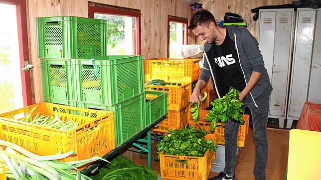 Gemüse und Salat gelangen frisch vom Acker in Überauchen und Aufen in die Verteilstationen von Baarfood. Leon Dannert holt den Salat- ...