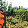 Forstmitarbeiter Bernhard Brutsch und Forstunternehmer Patrick Großmann besprechen in dem Waldstück der Familie Hager in ...