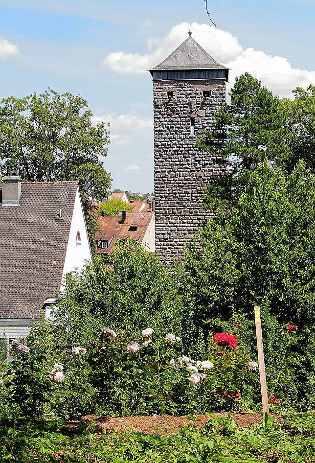 Vom Rundweg aus hat man einen schönen Ausblick auf die frisch gepflanzten Rosen und den Turm.