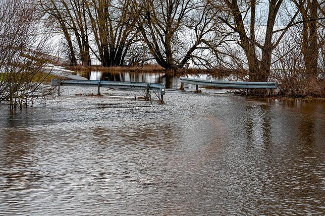 Hochwasser. Brigachtal.