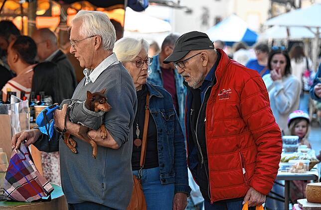 Bild 1: Familiensamstag in Waldshut: Mai-Wetter lockte viele Besucher