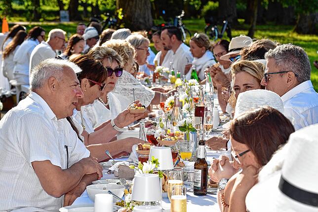 Bild 18: Französisches Picknick ganz in Weiß im Donaueschinger Schlosspark