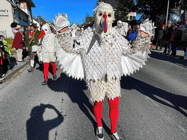 Bild 8: Bilder vom Fasnet Mäntig Umzug in Gottmadingen
