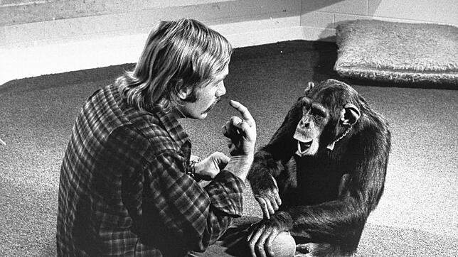 Roger Fouts im Gespräch mit Schimpansendame Lucy, 1972.