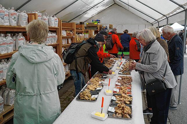 Bild 9: Alle Bilder vom Naturparkmarkt in Königsfeld