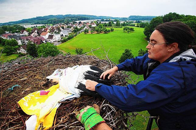 Sylvia Altheimer, Storchenbeauftragte des Affenbergs, beruhigt derzeit besorgte Anrufer: Störche könnten eine kurze Kältewelle gut ...