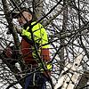 In dem Kurs lernen die künftigen Gartenfachwarte auch den richtigen Baumschnitt, im Bild muss Teilnehmer Horst Blasi den Baum in Form ...