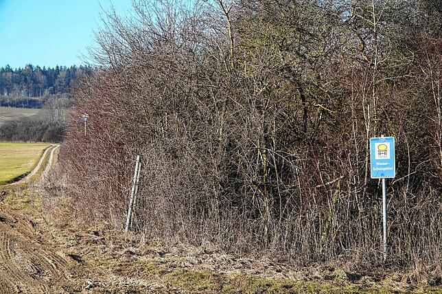 In der hohen Hecke finden viele Arten – wie beispielsweise der seltene Neuntöter – einen Lebensraum.