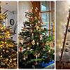 Vielfalt pur: Einige Leserinnen und Leser haben uns bereits Bilder ihres Weihnachtsbaums geschickt. Wie sieht Ihrer aus?