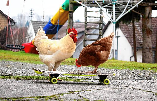 Nachhilfeunterricht in Sachen Skateboard-Fahren.