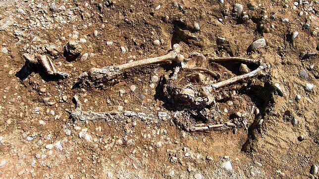 Das letzte Skelett, das bei der Grabung an der Allensbacher Richtstätte gefunden wurde, gibt Rätsel auf. Der Oberkörper des Toten war ...