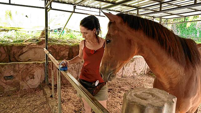 Rancherin Carmen betreibt auf Bali einen Pferdehof.