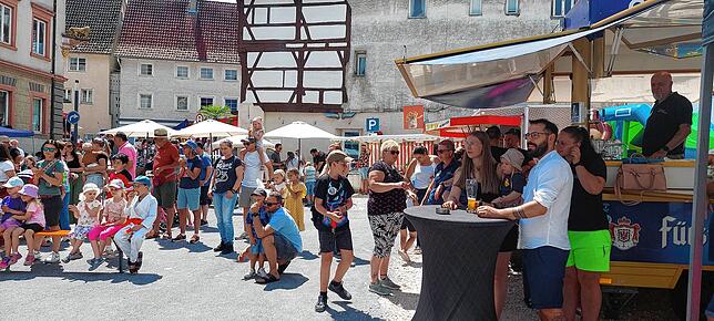 Bild 39: Am Sonntag strömen die Besucher nur so nach Meßkirch
