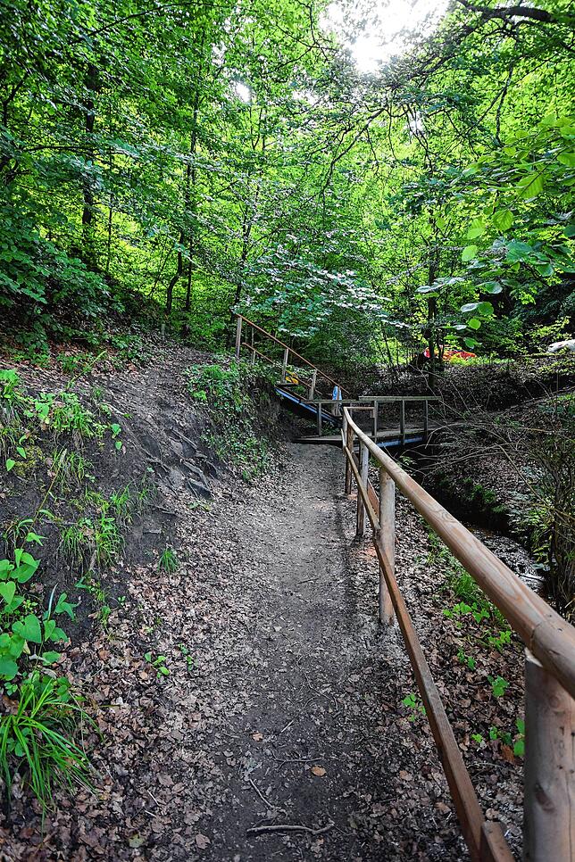 Hier geht es vom Steg auf den Weg Richtung gesperrter Schlucht und dem wiedereröffneten Wanderweg nach Wallhausen über den Burghof.