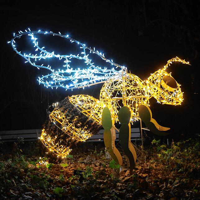 Bild 10: Lichter tanzen auf der Mainau: So haben Sie die Blumeninsel im Bodensee noch nie gesehen