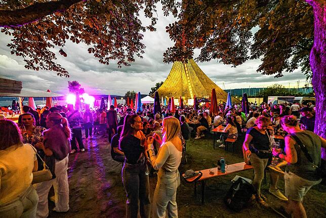 Bild 1: Die schönsten Bilder vom Hausherrenfest in Radolfzell!