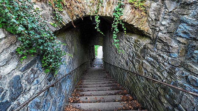Ist da noch Licht am Ende des Tunnels? Bevor das Hohentwielfestival abgesagt wird, wollen die Veranstalter abwarten, wie das Land auf ...