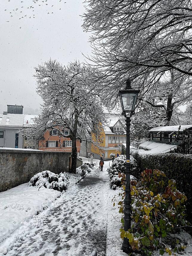 Bild 7: Verschneites Tiengen: Die schöne Seite des Winters