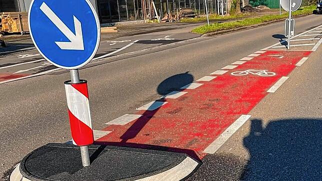 Ist dies Deutschlands kürzester Radweg? Aufgenommen wurde das Bild in Bad Säckingen und im Netzt wird heiß diskutiert.