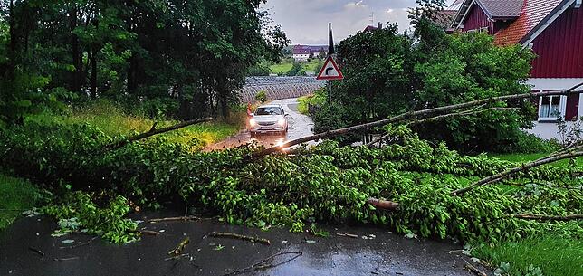 Der Gewittersturm hat am Montagabend in Friedrichshafen-Ailingen in der Nähe der Reinachmühle einen Baum umgeworfen, dessen Stamm sich ...