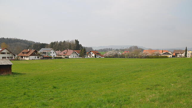 Auf diesen rund 1,9 Hektar am südlichen Ausgang von Grünwangen sollen ab 2021 neue Häuser entstehen.