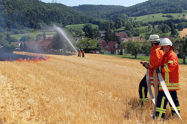 Bild 3: Flächenbrand bei Blumberg-Epfenhofen erfordert einen Großeinsatz der Blumberger Feuerwehr