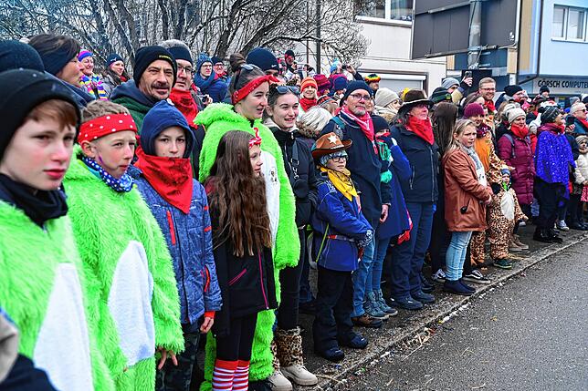 Bild 3: So feiern die Zuschauer am Straßenrand beim Narrentreffen in Dauchingen mit