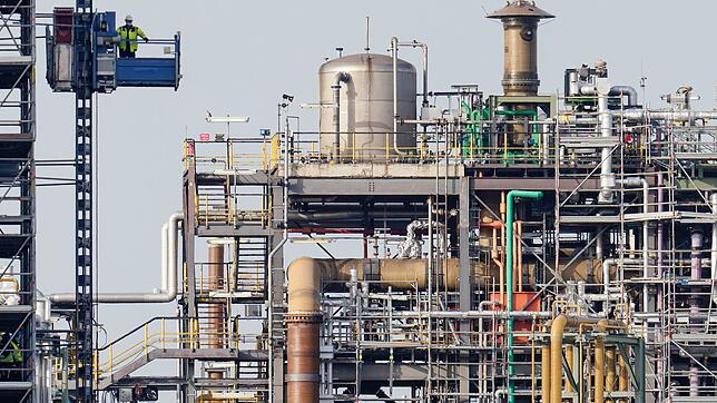 Störung bei BASF - «Stechender Geruch». (Archivbild)