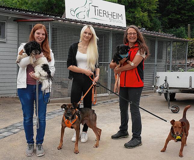Bild aus besseren Zeiten: Judith Bäumle (von links, Auszubildende zur Tierpflegerin), Mitarbeiterin Maria Kaiser und Tierheimleiterin ...