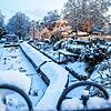 Schöner Anblick, für Autofahrer aber auch eine Gefahr: Schnee (hier im Stadtgarten von Radolfzell) hat für Unfälle gesorgt.