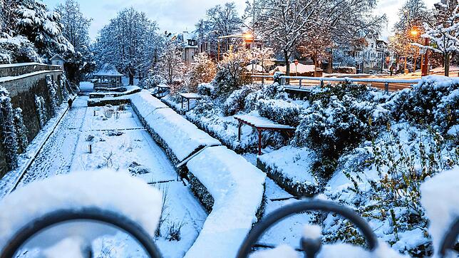 Schöner Anblick, für Autofahrer aber auch eine Gefahr: Schnee (hier im Stadtgarten von Radolfzell) hat für Unfälle gesorgt.