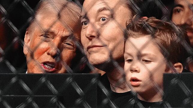 Beim Mixed-Martial-Arts-Käfigkampf: US-Präsident Donald Trump (von links), Tesla-Chef Elon Musk und dessen Sohn X æ a-xii.
