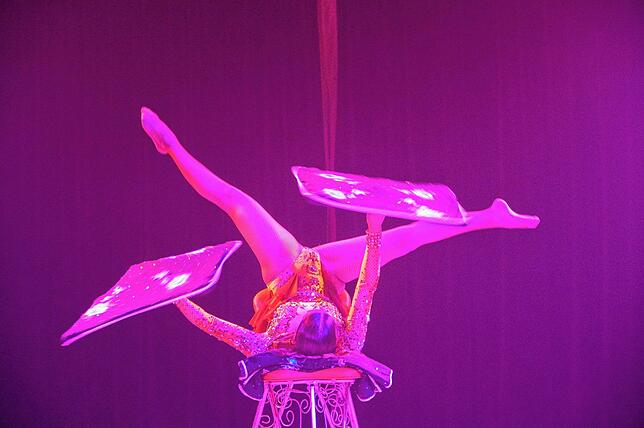 Bild 8: Zirkus Rudolf Renz begeistert in Tengen
