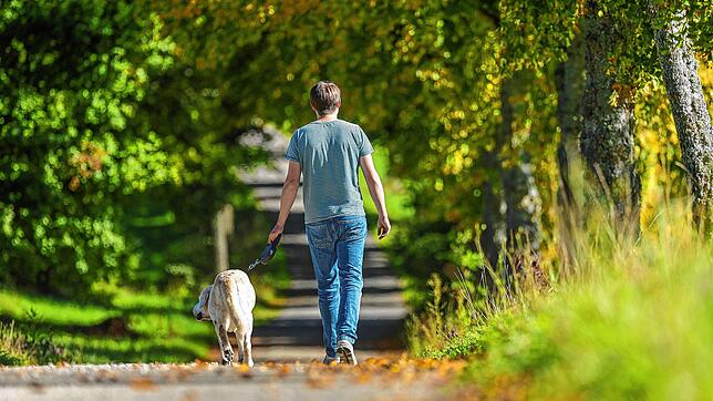 Meteorologen erwarten am Mittwoch spätsommerliches Wetter mit viel Sonne und bis zu 26 Grad in Baden-Württemberg.