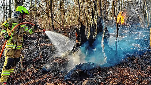 (Archivbild) Schon im März 2023 kam es in Konstanz zu einem Waldbrand. 600 Quadratmeter Waldfläche wurden zum Raub der Flammen.