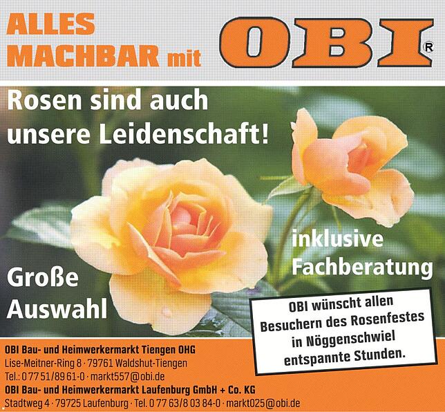 Bild 3: 53.Nöggenschwieler Rosentage: Fest im Zeichen der Rose