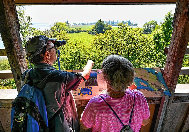 Vom Mettnauturm aus lassen sich auch gut Vögel beobachten.