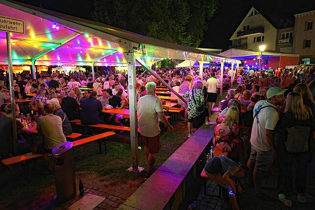 Bild 1: Fotos vom Staader Hafenfest 2025: So feiern Einheimische und Gäste in Konstanz