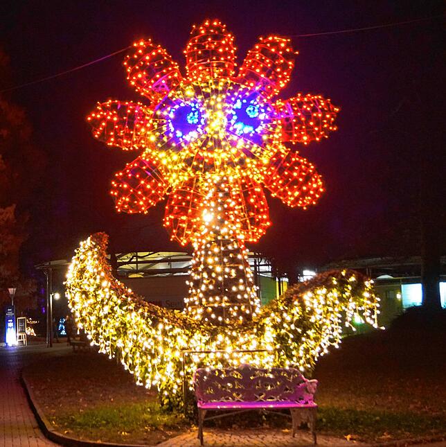 Bild 7: Lichter tanzen auf der Mainau: So haben Sie die Blumeninsel im Bodensee noch nie gesehen