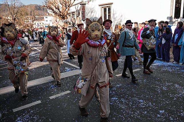 Bild 25: Unvergessliche Bilder vom Rosenmontagsumzug in Gottmadingen: So bunt war die Fasnacht 2025!