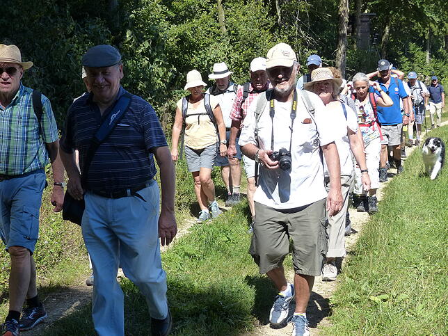 Bild 43: Bilder der &bdquo;Aktion Wanderlust&ldquo; von Verschönerungsverein und SÜDKURIER Überlingen