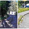 Diese Aufnahme nahe des Fundorts der Leiche in der Schmitzinger Straße in Waldshut zeigt den Fahrer eines Leichenwagens am 4. Oktober ...