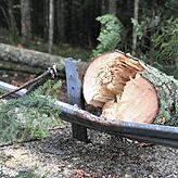 Diese Leitplanke an der Kreisstraße zwischen Unterkirnach und Vöhrenbach wurde von einem Baum getroffen.